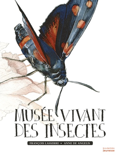 Musée vivant des insectes | Lasserre, François. Auteur.e